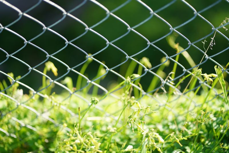 Chain Link Fence Replacement in Roseville, CA