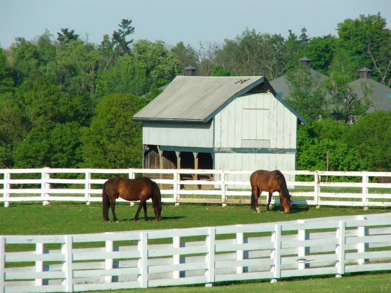 Horse Fence Replacement in Roseville, CA