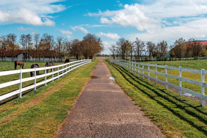 Horse Paddock Installation in Sacramento, CA