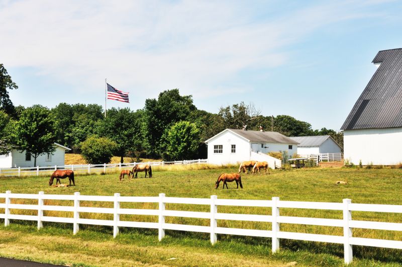 Horse Paddock Installation in Roseville, CA
