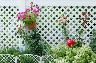 Pvc Lattice Fence Installation in Kansas City, MO