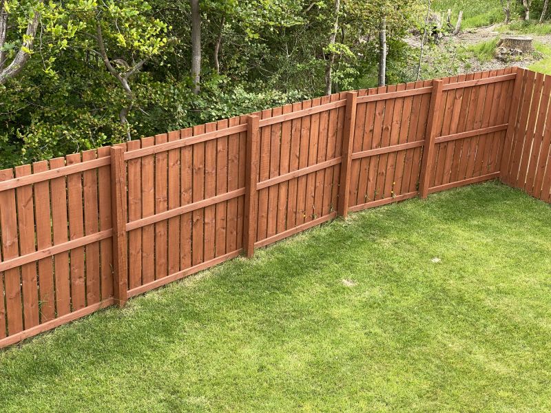 Backyard Wood Fence